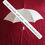 Thumbnail: Customized Two Fold Promotional Umbrella with Logo Printing – Srisailam, Telangana