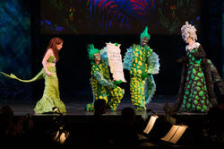 13483180_10206631265799945_6617603920889043381_o