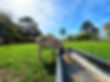 IMG_8163.jpeg