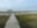 Screenshot 2024-08-21 at 9.00.53 AM.png