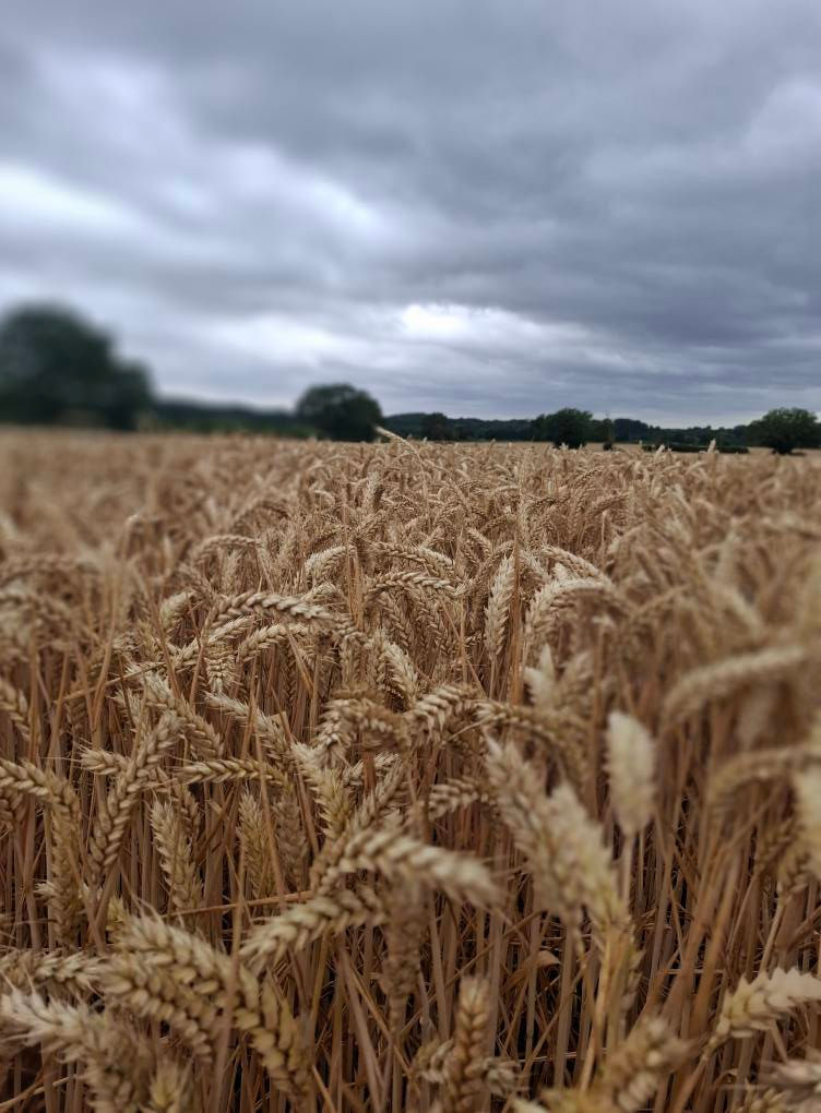 In life we all have to weather storms, but always remember - storms never last forever