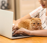 ミディアムシップ,トーキングトゥヘブンミディアムシップカード