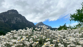 Only 3 days in Cape Town? Here's what you can do. 