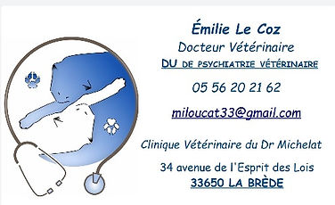 Vétérinaire comportementaliste Emilie Le Coz travaillant en collaboration avec MesSages Canins pour le bien être de vos chiens