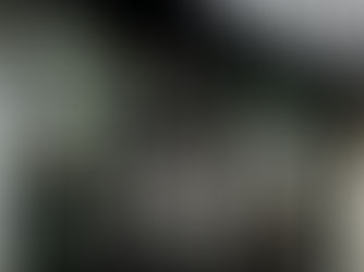 Interesting Facts About Balkan Bakery: From Belgrade to Chicago