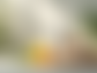 Top Organic Skincare Brands for Radiant Skin