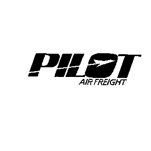 Pilot.gif