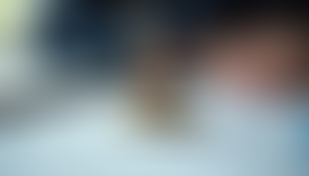 Notary Stamp. It’s not just about signatures; it’s about authenticity and protection.