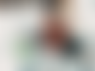 Looking at documents to notarize