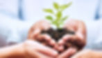 Hands holding soil with a small green plant against a blurry, light background. The image conveys growth and nurturing.