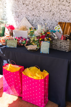 Zach %26 Janki%27s Bridal Shower-21.jpg