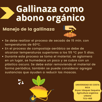 Gallinaza-Imagen 3.png