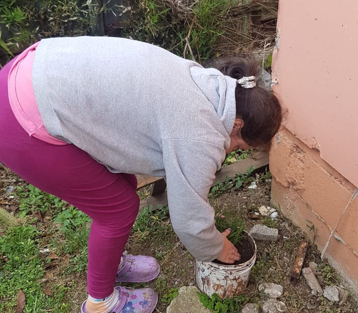 dc287b2f-e2ba-4e95-8408-6fe004fed8f1.jfif