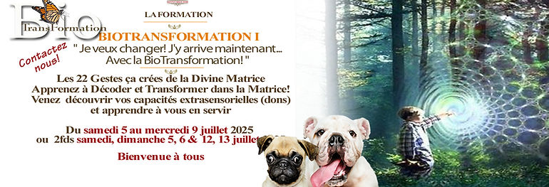 Facebook La formation BTI juillet 2025.jpg