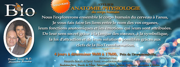 banniere Anatomie Physiologie pub 2024.jpg