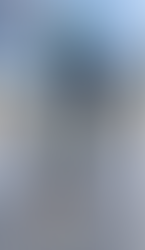 Swiss Run Swissys is having Oliver Puppies!