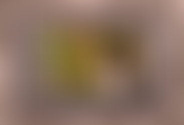 Tessa Finished Her CH!