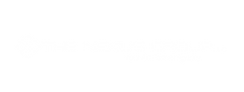 The Nexus Group Logo.png