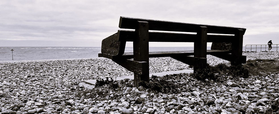 EMPTY SEAT By Sue Parsons