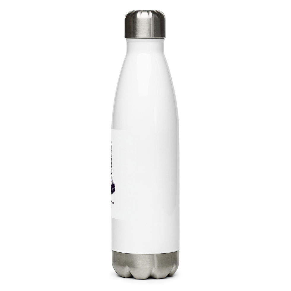 Thumbnail: Stainless steel water bottle