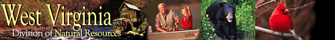 MainBanner3