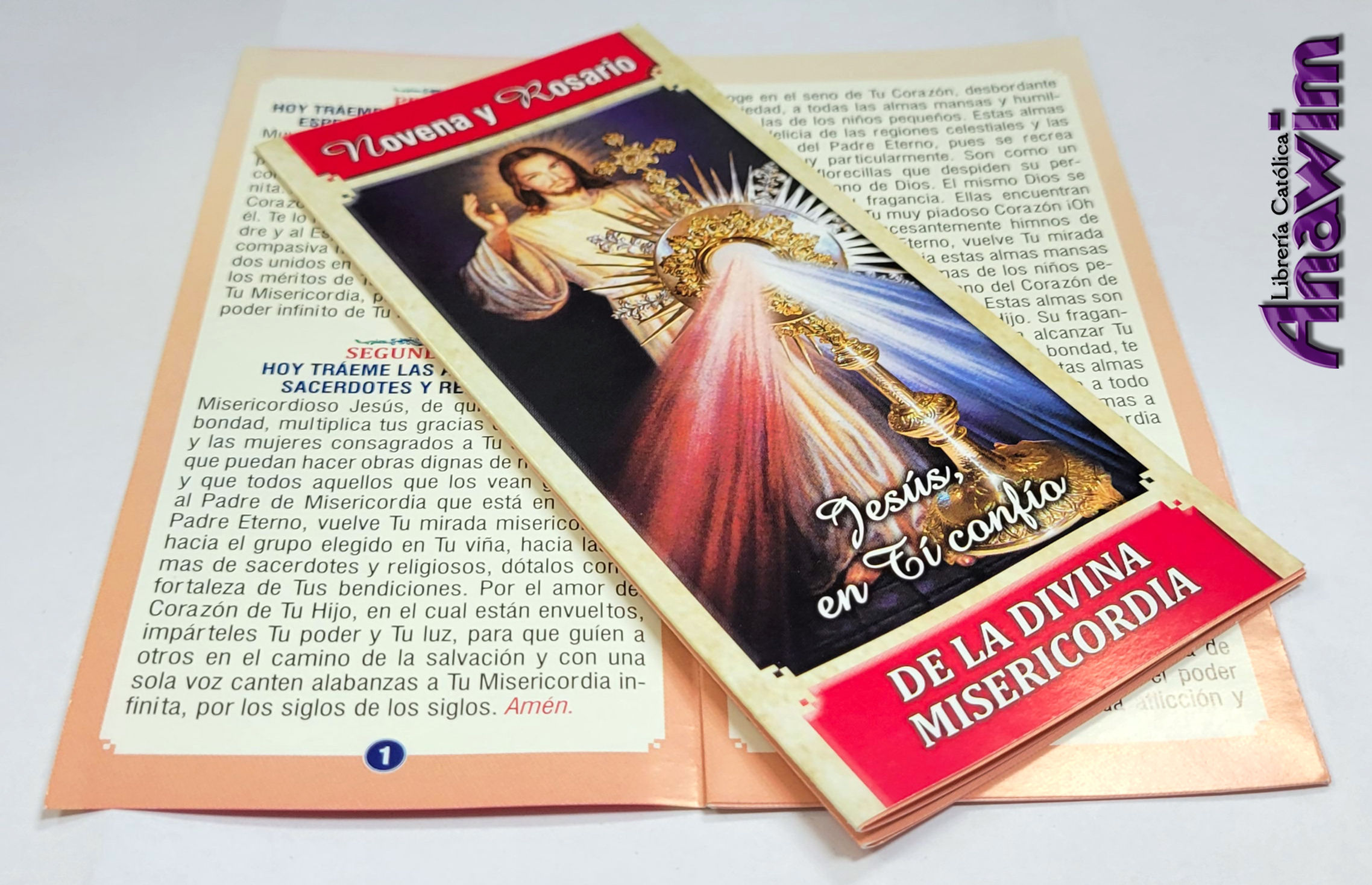 Novena y Rosario de la Divina Misericordia