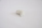 Thumbnail: SMALL SEAL