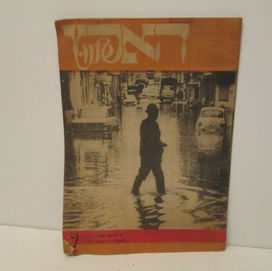 טדי אמנות & עתיקות.jpg