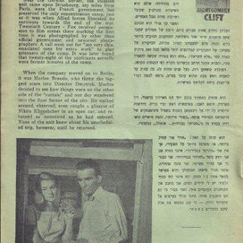 04 קולנוע תל אביב תוכניה כפירי אריות 09.jpg