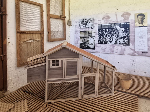 מוזיאון המפטמה בקיבוץ קרית ענבים 