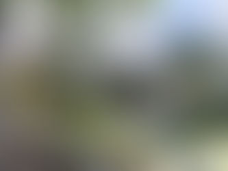 ארכיון צה"ל ומערכת הביטחון