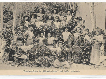 דבר אלי גלויות - ניירת ארצישראלית של זיו גורה