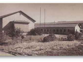 המוסד האקדמי רופין - הארכיון