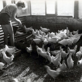 1958 זהבה מאור בלול .jpg