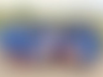 2年生　スポ少城南ブロック大会