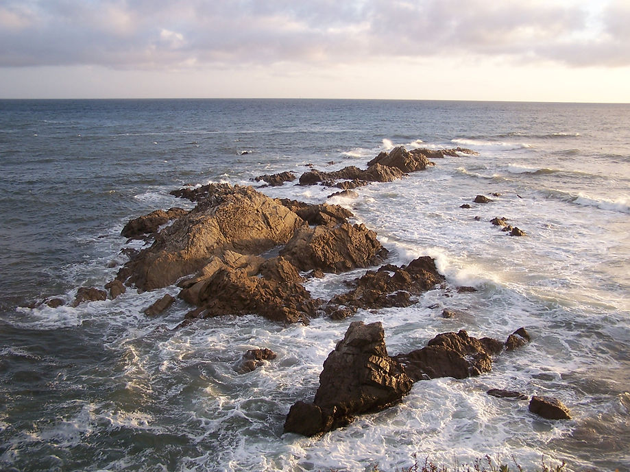 Piriac sept. 2005 062.jpg