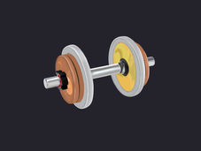 Weighing the Anchor: Bulgaria’s Entrance into the Eurozone