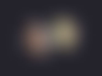 Weighing the Anchor: Bulgaria’s Entrance into the Eurozone