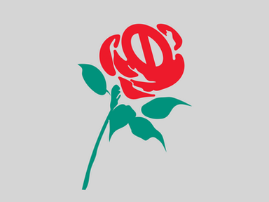 Labour’s Age Check Fiasco: When Censorship Wears a Cardigan