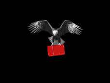 Manufacturing Consent: Resurrecting the Iraq Playbook in Venezuela