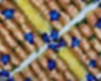 unnamed_edited