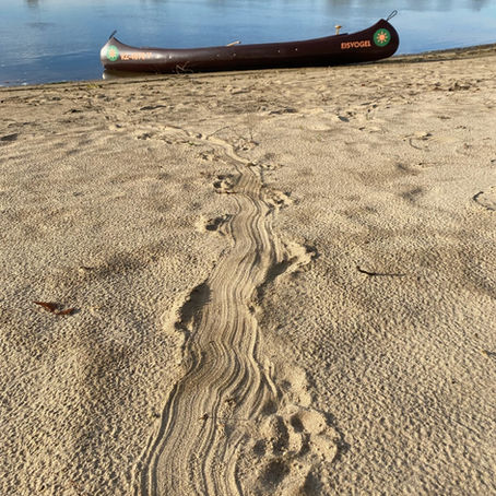 Tag der Offenen Tür bei der Kanustation ALBIA in Neu Darchau