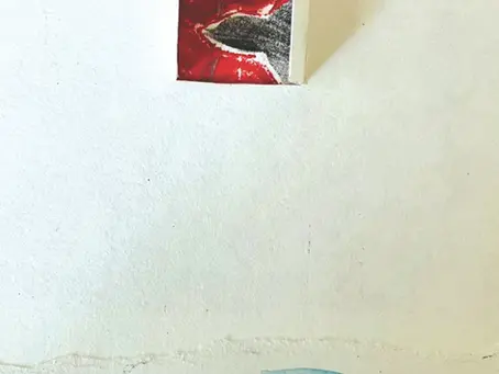 La ternura de las aves cuando mueren: conversación con Zaria Abreu Flores