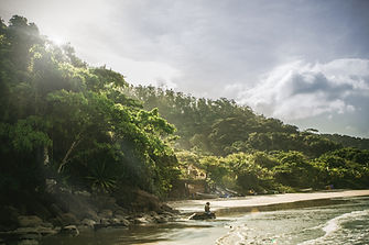 Tropical Beach