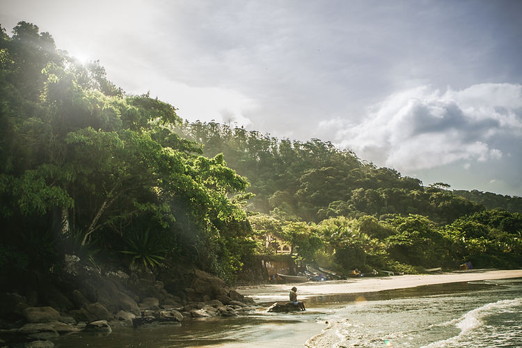 Tropical Beach