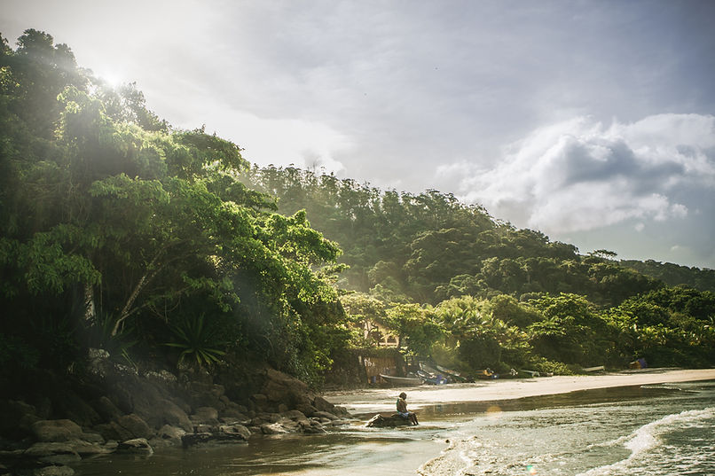 Tropical Beach