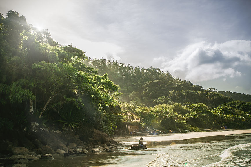 Tropical Beach Scene