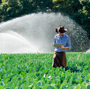 MP do Agro amplia garantias do crédito agrícola e estimula captações no mercado