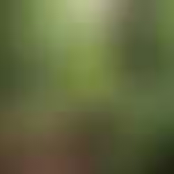 Sustentabilidade: Cuidando do Planeta com Responsabilidade Ambiental