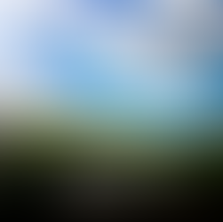 Justiça permite usucapião de totalidade de imóvel independentemente de inventário